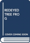 Image for REDEYED TREE FROG