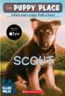 Image for The Puppy Place #7: Scout