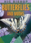 Image for Nic Bishop: Butterflies and Moths