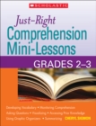 Image for Just-Right Comprehension Mini-Lessons: Grades 2-3