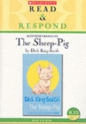 Image for Activities based on The sheep-pig by Dick King-Smith