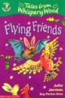 Image for Flying Friends