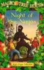 Image for NIGHT OF THE NINJAS