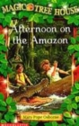 Image for AFTERNOON ON THE AMAZON