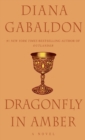 Image for Dragonfly in Amber : A Novel