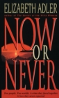 Image for Now or Never : A Novel