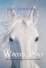 Image for The Winter Pony