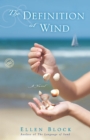 Image for The Definition of Wind : A Novel
