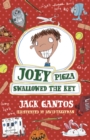 Image for Joey Pigza Swallowed The Key