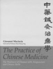 Image for The Practice of Chinese Medicine : The Treatment of Diseases with Acupuncture and Chinese Herbs
