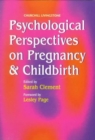Image for Psychological perspectives on pregnancy and childbirth