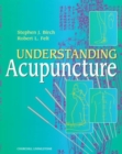 Image for Understanding acupuncture
