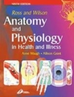Image for Ross and Wilson Anatomy and Physiology in Health and Illness