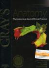 Image for Gray&#39;s anatomy  : the anatomical basis of clinical practice