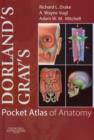 Image for Dorland&#39;s/Gray&#39;s Pocket Atlas of Anatomy
