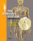 Image for The nervous system