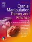 Image for Cranial manipulation  : theory and practice