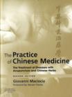 Image for The practice of Chinese medicine  : the treatment of diseases with acupuncture and Chinese herbs