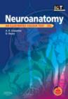 Image for Neuroanatomy  : an illustrated colour text