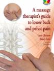 Image for A massage therapists&#39; guide to lower back and pelvic pain