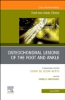 Image for Osteochondral Lesions of the Foot and Ankle, An issue of Foot and Ankle Clinics of North America