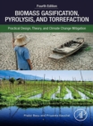 Image for Biomass gasification, pyrolysis and torrefaction: practical design, theory, and climate change mitigation
