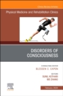 Image for Disorders of Consciousness, An Issue of Physical Medicine and Rehabilitation Clinics of North America