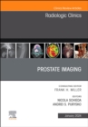 Image for Prostate imaging : Volume 62-1