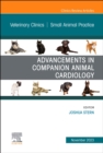Image for Advancements in Companion Animal Cardiology, An Issue of Veterinary Clinics of North America: Small Animal Practice
