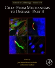 Image for Cilia Part B: From Mechanisms to Disease : 176