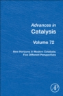 Image for New horizons in modern catalysis  : five different perspectives : Volume 72