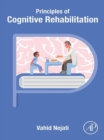 Image for Principles of Cognitive Rehabilitation