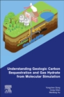 Image for Understanding Geologic Carbon Sequestration and Gas Hydrate from Molecular Simulation