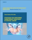 Image for Strategies for Overcoming Chemotherapy Resistance in Cervical Cancer