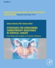 Image for Strategies for Overcoming Chemotherapy Resistance in Cervical Cancer: From Molecular Insights to Precision Solutions