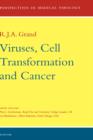 Image for Viruses, Cell Transformation, and Cancer : Volume 5