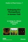 Image for Redesigning Rice Photosynthesis to Increase Yield