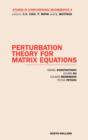 Image for Perturbation theory for matrix equations : Volume 9