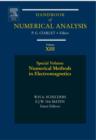 Image for Numerical methods in electromagnetics : Volume 13