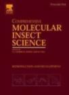 Image for Comprehensive Molecular Insect Science