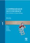 Image for Comprehensive Glycoscience : From Chemistry to Systems Biology : v.1-4