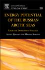 Image for Energy potential of the Russian Arctic Seas: choice of development strategy