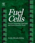 Image for Fuel cells: current technology challenges and future research needs