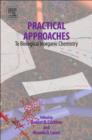 Image for Practical approaches to biological inorganic chemistry