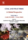 Image for Coal and peat fires: a global perspective. (Case studies - coal fires)