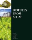 Image for Biofuels from algae