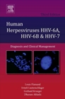 Image for Human herpesviruses HHV-6A, HHV-6B &amp; HHV-7  : diagnosis and clinical management : Volume 12