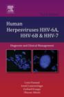 Image for Human herpesviruses HHV-6A, HHV-6B &amp; HHV-7: diagnosis and clinical management