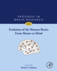 Image for Evolution of the human brain: from matter to mind