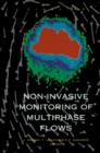 Image for Non-invasive Monitoring of Multiphase Flows